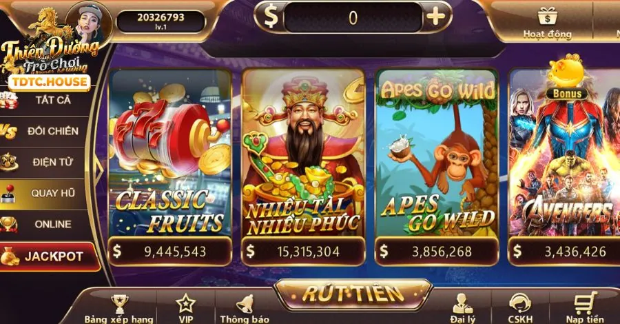 Cá cược thể thao K9CC